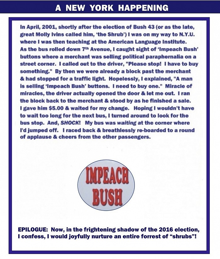 Impeach Bush button